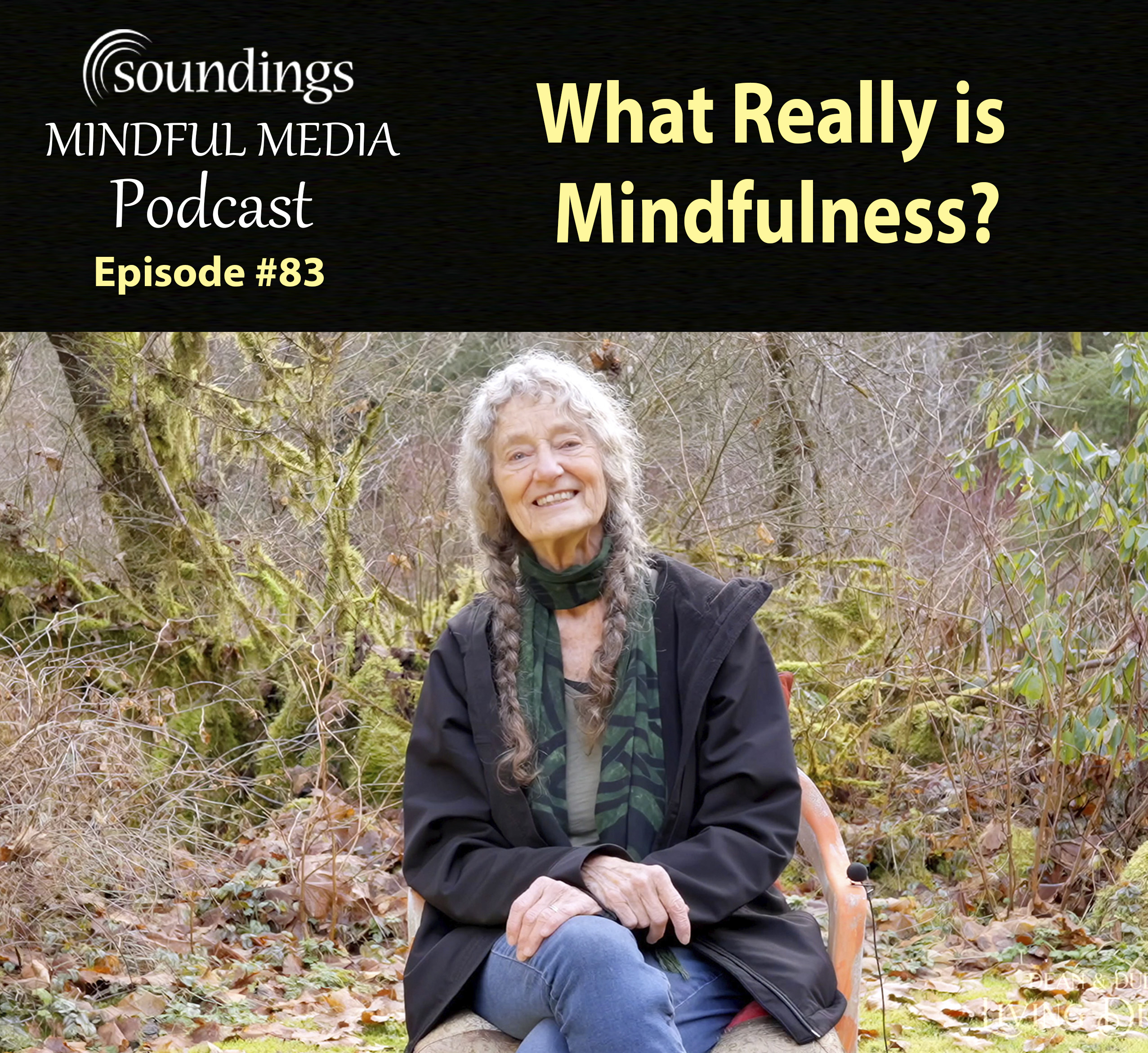 What Really is Mindfulness?